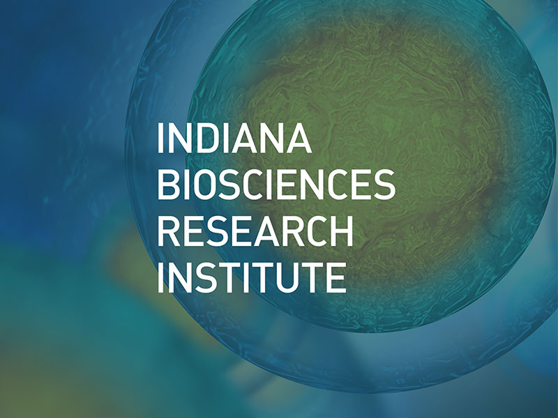 logo for Indiana Biosciences and Research Institute, one of TBH Creative’s science and technology marketing clients
