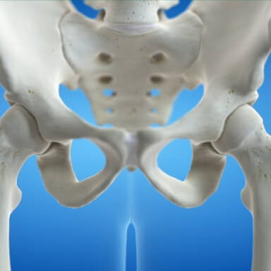 hip area on a xray