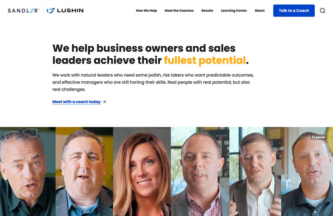 Lushin's website design home page