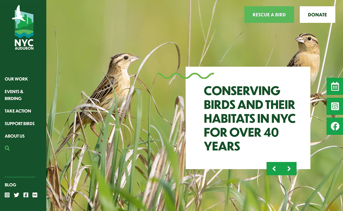 Screengrab showing Audubon’s nonprofit web design for its homepage