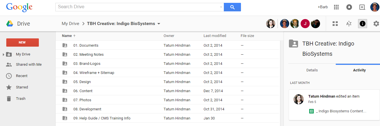 Google Drive Snapshot for Web Design Project