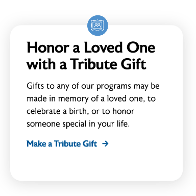 Preview of giving option cards- Honor a Loved One with a Tribute Gift
