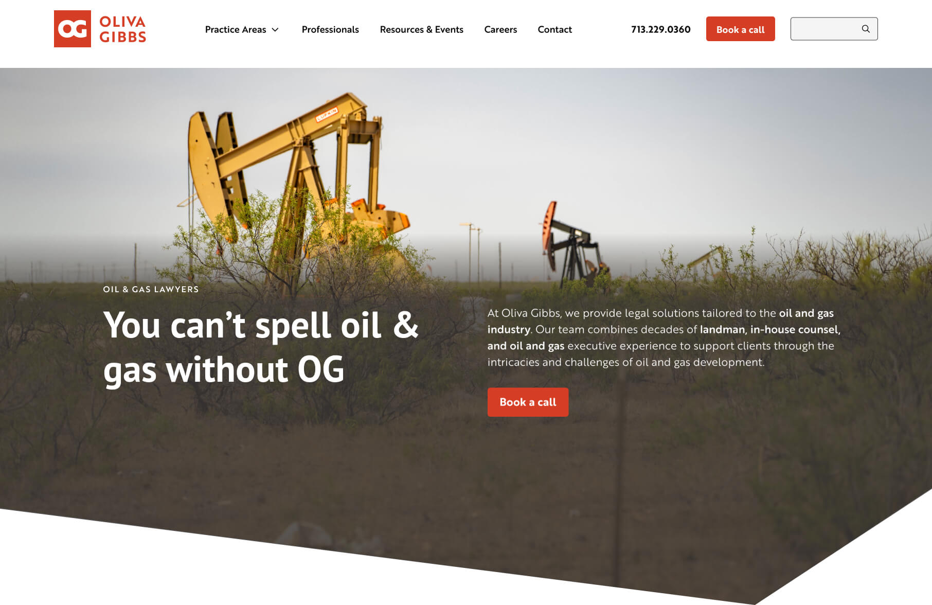 Preview of Oliva Gibbs website home page design