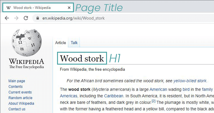 h1 and page title example
